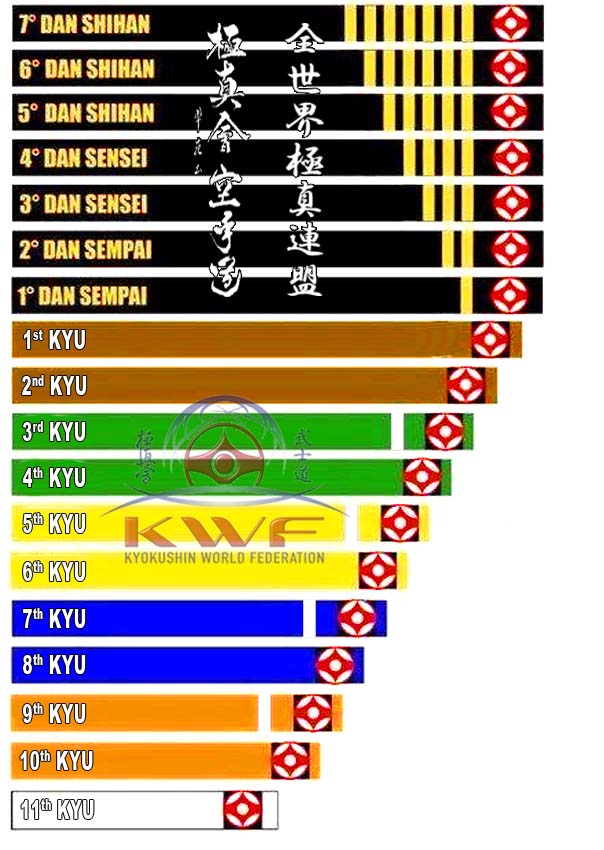 Programme Officiel De Progression Technique Kyokushin